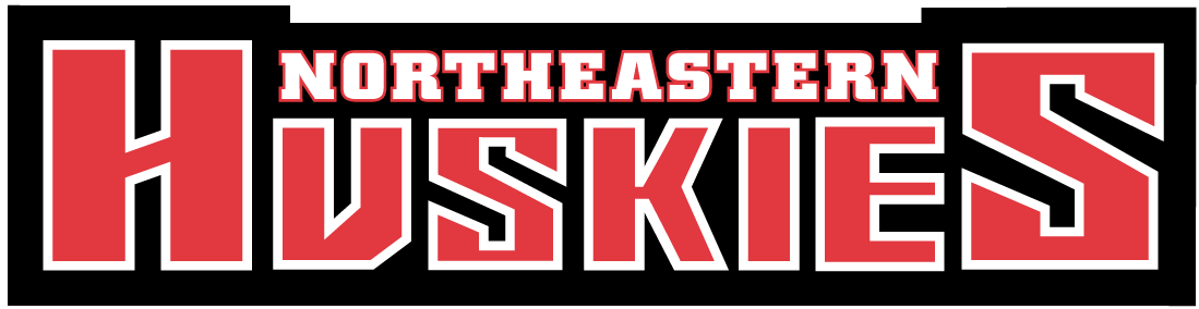 Northeastern Huskies 2001-Pres Wordmark Logo diy iron on heat transfer